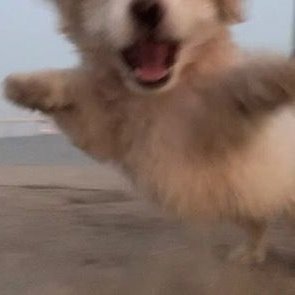 N0YE_'s profile picture. 한 쪽이 죽은 커플링을 파는 건 나에게 있어서... '관성'같은 거라 그런걸까...