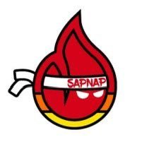 sapnap_days's profile picture. longest streak: 85 days