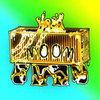 NewSlumFlokiMillionare🩸🛰️🥕 (@flokimilyarderi) 's Twitter Profile
