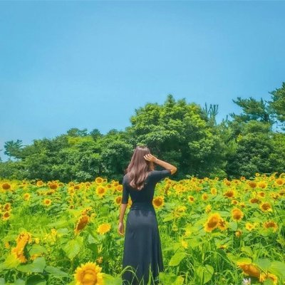 副業で安定した収入を得る方法を発信中。副業を始めたい人に有益な情報を発信。少額ですがお金配り企画もしております♪ 支援中→https://t.co/GXReE8fiE7