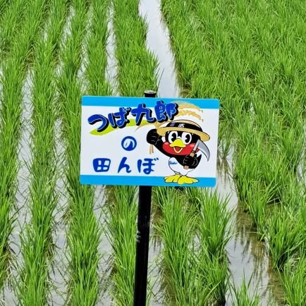 M1yWWFHuK050059's profile picture. 東京ヤクルトスワローズと2024年からオイシックス新潟アルビレックスBCを応援しています。
野球オフ時は野球時々旅先の美味しいものや面白い所をアップしていきます。