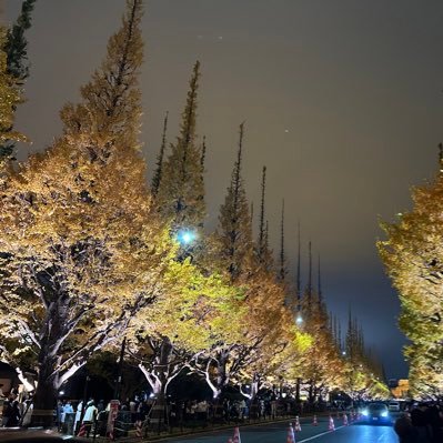 ryosuke_oshima_'s profile picture. Data Scientist at コンサルティング企業/ 1年目