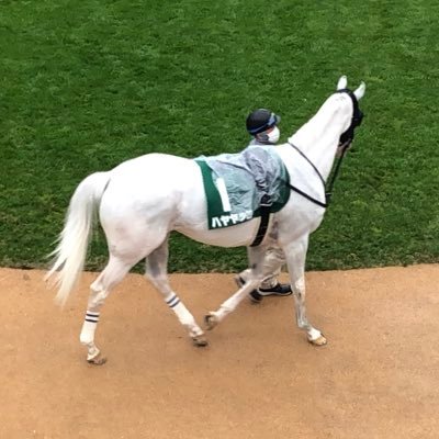 chalions's profile picture. 鞍上の安藤