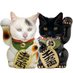 Marshmallow and Oreo🐾❤️😺❤️😽❤️ (@half_straycat) Twitter profile photo Marshmallow and Oreo🐾❤️😺❤️😽❤️ (@half_straycat) Twitter profile photo
