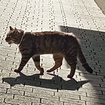 āØ21+ UKāØ
Pics, random thoughts and silliness
Archive: https://t.co/4hpIYPLfrp
No DM if š no exceptions