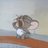 tomjerrytuffy76