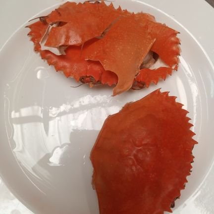 OkeriBrian's profile picture. Sweats💦