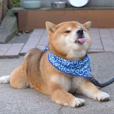 kgs8539's profile picture. 