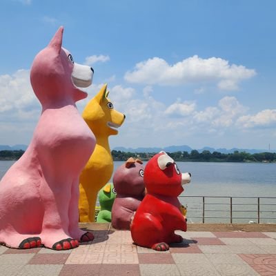 _notenote_'s profile picture. ไม่มี