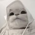 Pastor CTO (@pastorcto) Twitter profile photo Pastor CTO (@pastorcto) Twitter profile photo