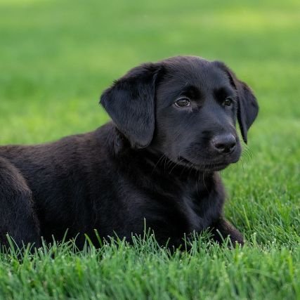 ulises1r9's profile picture. 