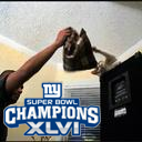 JaR45's profile picture. A glass is half-empty if you fill it up and drink half. It's half-full if it starts empty and you only fill it up halfway. CONTROVERSY SOLVED.