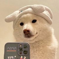 十二 (@re_shapin) 's Twitter Profile