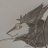 horny_sergal's profile image