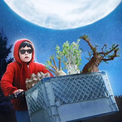 madagascal1919's profile picture. ほぼ植物🌵気軽にフォローしてください🙏