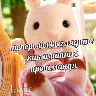 elenamelyamelts's profile picture. 