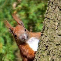 naturewithouthuman (@milairgendwas) 's Twitter Profile Photo