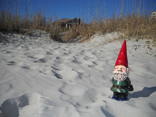 Your favorite garden gnome is now on twitter!
