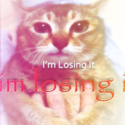 peepeepoopoo100's profile picture. | 22 | belly kink stuff + deranged rambles | dms open |