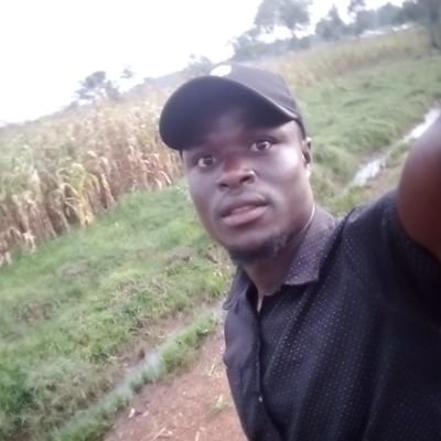 JoshuaB91774013's profile picture. 