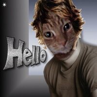 Luckiee Katt (@janicerand_) 's Twitter Profile