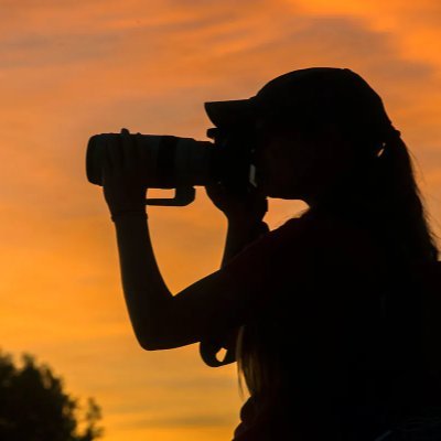 PlanckWidth's profile picture. 