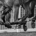 Michael Pink (@alistracinguk) Twitter profile photo Michael Pink (@alistracinguk) Twitter profile photo