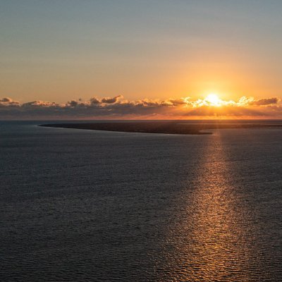 marcschare's profile picture. 