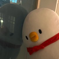noWoo 로로🫨 (@ehdmlql) 's Twitter Profile