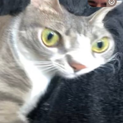 BleckOM13's profile picture. Je veux battre la pôle de Depielo du GP Explorer 2 1:42:461 ➡️ 1:41:627 https://t.co/iFiT0n920G