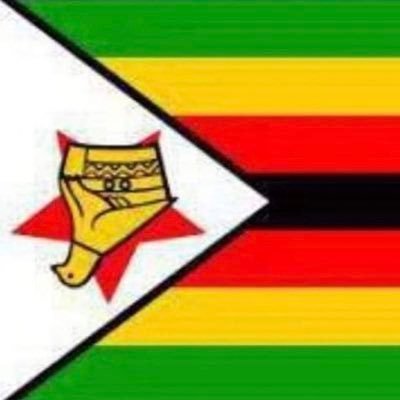 uLodunga owadungizizwe, Lingwe, Nsele kaLindaMkhonto, uZikode KaLomaphikela, iNdlovu eyaphicele eziny' eMazibukweni -
Patriotic Zimbabwean 🇿🇼