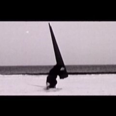 evilcatbastard's profile picture. 