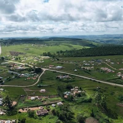 MsiziMazibuko's profile picture. 