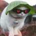 Zopyrus (@zopyrusyt) Twitter profile photo Zopyrus (@zopyrusyt) Twitter profile photo