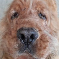 Leonardo (@leonardo44447) 's Twitter Profile Photo Leonardo (@leonardo44447) 's Twitter Profile Photo