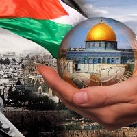 Logic-Amer🇵🇸✍️ (@amerlana1357911) Twitter profile photo