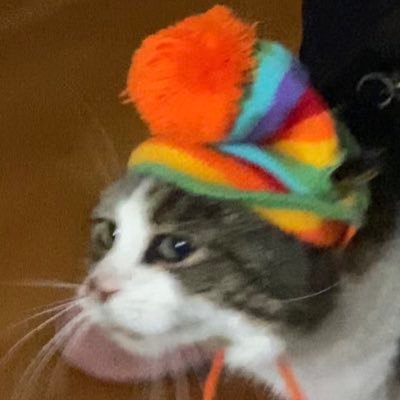 Chrisse909’s priv and autism corner ✨ 25 ✨they/he and gay