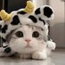 kitty (@ur_babykitty) Twitter profile photo kitty (@ur_babykitty) Twitter profile photo
