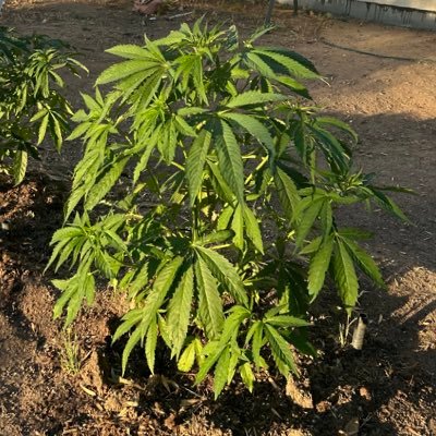 im_very_kind's profile picture. welp, I just got a text I did not want to get.