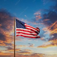 AmericanBuilt (@t49842tom) 's Twitter Profile