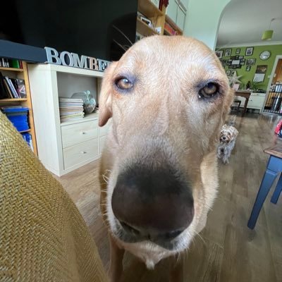 BTheakston1's profile picture. 