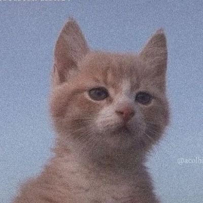 fevenancio_'s profile picture. Uma pessoa que tá cansada de absolutamente tudo, de pessoas principalmente............