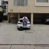 d’money (@trapgodsuburban) 's Twitter Profile Photo