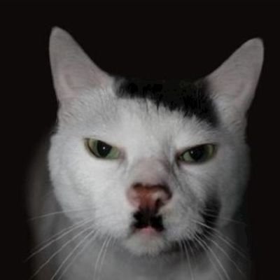 multifonction07's profile picture. 