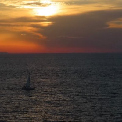 dumbldorable's profile picture. building | 24 yo