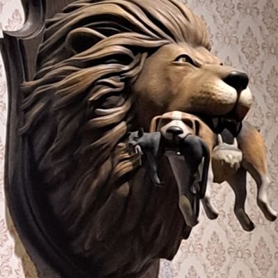 Cairns82's profile picture. :-) Dogs Eat Barf Solely On Wednesday, Mabel.