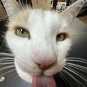 Jayden Sosa - @SosaJayden67489 - Twitter