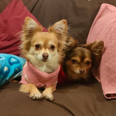 Contreras_EliH's profile picture. 