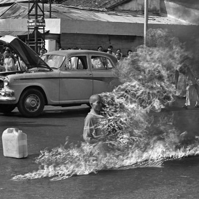 avgthinker1's profile picture. collection of thoughts.