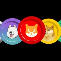 Meme Coin Update (@memecoinupdate) 's Twitter Profile